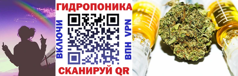 Названия наркотиков Тосно Бошки Шишки Галлюциногенные грибы ОМГ ОМГ ссылка СК ГАШ
