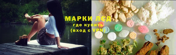 стафф Бородино