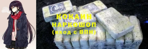 гидра Бронницы