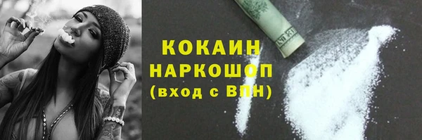 гидра Бронницы