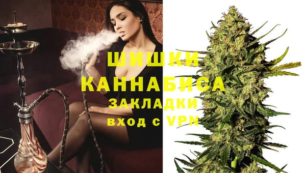 стафф Бородино