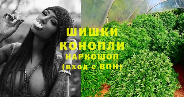 стафф Бородино