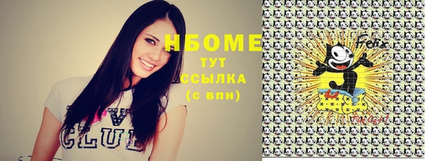 стафф Бородино