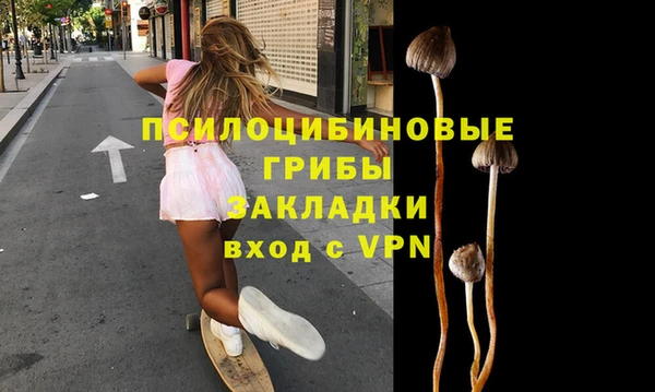 стафф Бородино