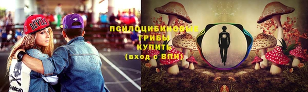 стафф Бородино