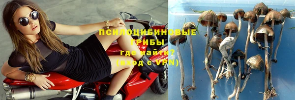 стафф Бородино