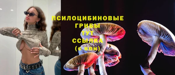 a pvp Бугульма